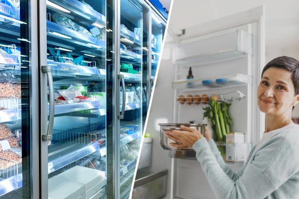 fridge news